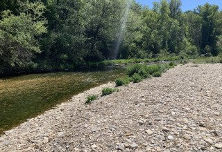 Río con orilla rocosa y árboles frondosos en Flower Camping La Rivière, Provenza-Alpes-Costa Azul, Francia.