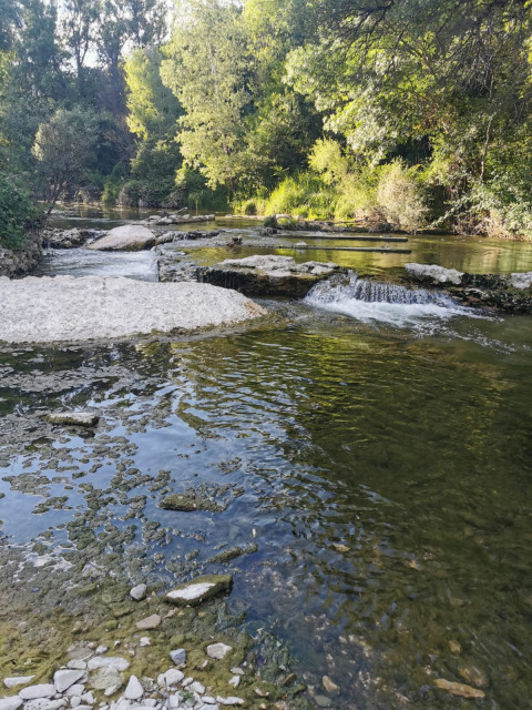 Fiume tranquillo con cascatelle tra alberi verdi a Flower Camping La Rivière, Provenza-Alpi-Costa Azzurra, Francia.