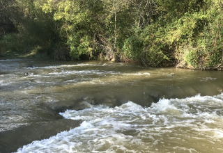 Beeld van een kabbelende rivier met omringend groen, genomen bij Flower Camping La Rivière in Zuid-Frankrijk.