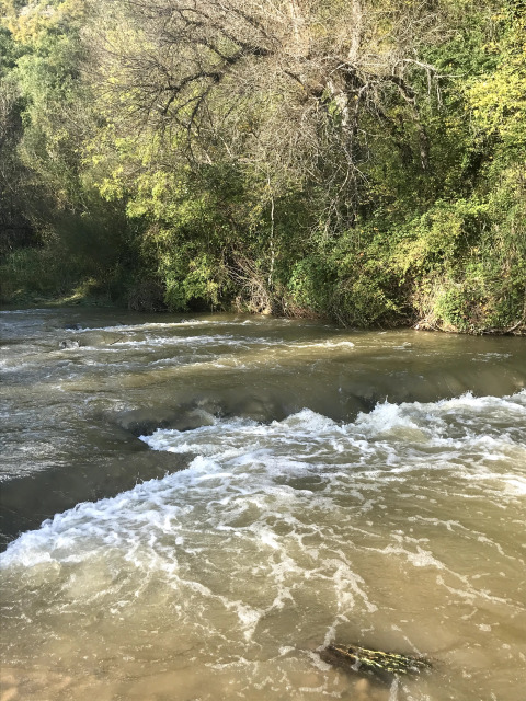 Photo shows a flowing river with foamy water, bordered by trees at Flower Camping La Rivière in southern France.