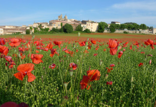Campo di papaveri in fiore con villaggio sullo sfondo a Flower Camping La Rivière, Provenza-Alpi-Costa Azzurra.