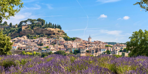 Blick auf ein malerisches Dorf in Provence-Alpes-Côte d’Azur, Frankreich, mit Lavendelfeldern im Vordergrund.