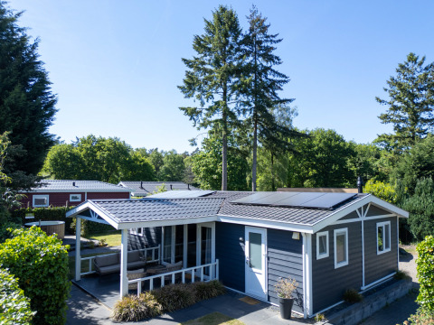 Moderne Heuvelrug Cottage med jacuzzi på De Thijmse Berg i Holland, omgivet af natur og træer.