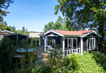 Wellness Lodge i De Thijmse Berg, Holland, omgivet af frodige grønne træer og have under en klar himmel.