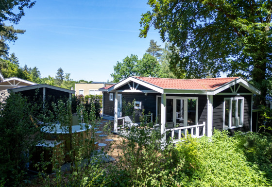 Wellness Lodge à De Thijmse Berg, Pays-Bas, entourée de verdure et d’arbres sous un ciel ensoleillé.