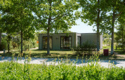 Duunroos lodge in vakantiepark De Klepperstee in Nederland, omgeven door bomen en veel groen.