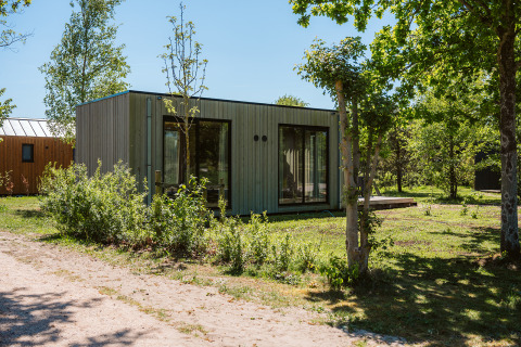 Moderna cabaña en Holiday park De Klepperstee, Países Bajos, rodeada de árboles y vegetación.