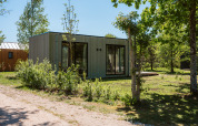 Moderna cabaña en Holiday park De Klepperstee, Países Bajos, rodeada de árboles y vegetación.