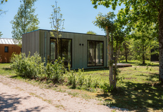 Moderna cabaña en Holiday park De Klepperstee, Países Bajos, rodeada de árboles y vegetación.