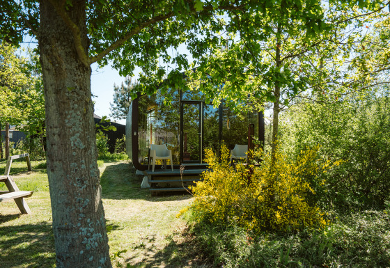 Wikkel tiny house i Holiday park De Klepperstee, Holland, omgivet af grønne træer og buske.