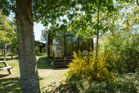 Wikkel tiny house au Holiday park De Klepperstee, Pays-Bas, entourée d’arbres et de verdure.