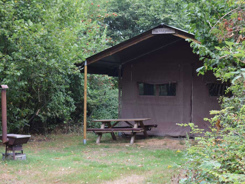 Una tienda rústica en Feather Down Het Boshuis, parque vacacional en Gelderland, Países Bajos, rodeada de verde.