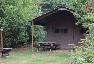 Een rustieke tent bij Feather Down Het Boshuis in Gelderland, Nederland, omringd door groen.