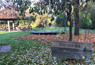 Scena autunnale al Feather Down Het Boshuis in Gelderland, Paesi Bassi, con prato, foglie e insegna in legno.