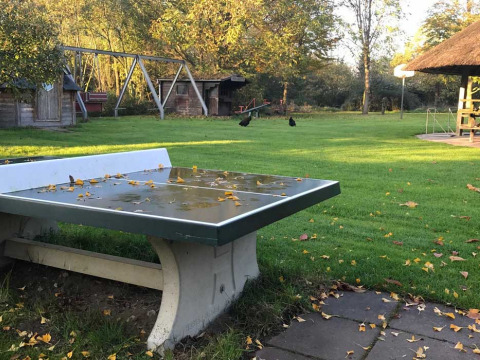 Mesa de ping pong exterior con charcos y hojas caídas en parque vacacional, área de césped al fondo.