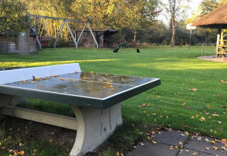 Buitentafeltennistafel met plassen en bladeren in een vakantiepark, groene graszone en speeltuig op achtergrond.