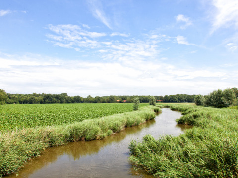 Landschaft mit einem Fluss und grünen Feldern unter blauem Himmel bei Feather Down Hoeve Zeeland, Niederlande.