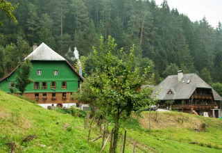 To traditionelle huse omgivet af skov og bakkelandskab på Feather Down Hilserhof, Baden-Württemberg, Tyskland.