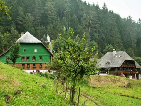 Deux maisons traditionnelles dans un paysage forestier à Feather Down Hilserhof, Baden-Württemberg, Allemagne.