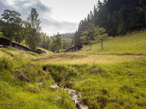 Pradera verde con colinas y cabañas en Feather Down Hilserhof, un parque vacacional en Baden-Württemberg, Alemania.