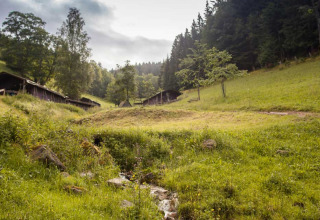 Paysage de prairie vallonnée et verdoyante avec cabanes à Feather Down Hilserhof, Baden-Württemberg, Allemagne.