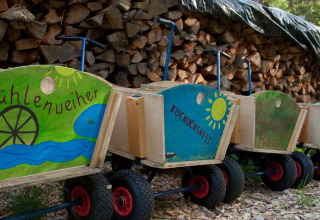 Farverige trækasser på hjul med børnemotiver hos Feather Down Hilserhof feriested i Baden-Württemberg.