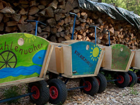 Carretti di legno dipinti al parco vacanze Feather Down Hilserhof, Baden-Württemberg, Germania.