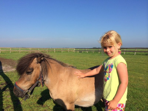 Une jeune fille caresse un poney miniature dans un champ verdoyant au parc de vacances en Overijssel, Pays-Bas.