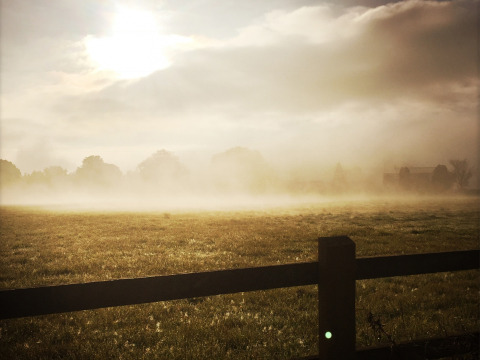 Amanecer sobre un campo con niebla y una valla en Feather Down Glastonbury Hill Farm, Sudoeste de Inglaterra.