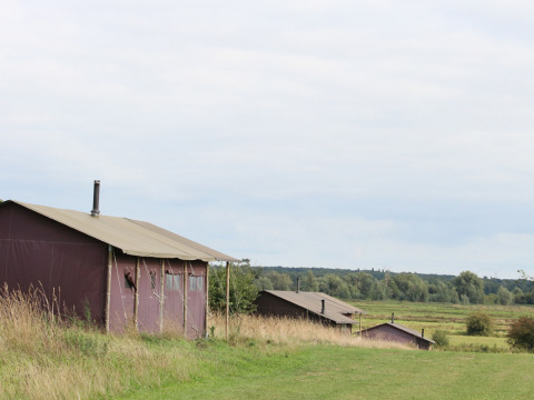 Tentes rurales à Feather Down College Farm avec vue sur une prairie verte dans l'Est de l'Angleterre.