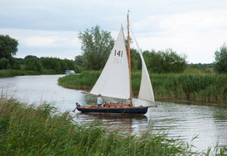 Sailboat with number 141 glides on a peaceful river at Feather Down College Farm, East of England, UK
