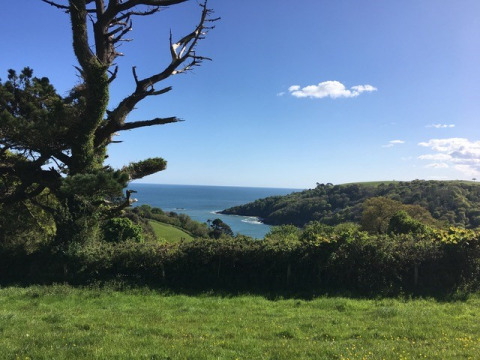 Vue sur les collines verdoyantes et le littoral depuis Feather Down Fountain Violet Farm, Sud-Ouest Angleterre, Royaume-Uni.