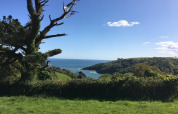 Vue sur les collines verdoyantes et le littoral depuis Feather Down Fountain Violet Farm, Sud-Ouest Angleterre, Royaume-Uni.