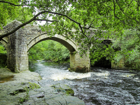 Puente de piedra antigua sobre un río rodeado de bosques verdes en Feather Down Fountain Violet Farm, Inglaterra.
