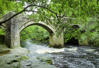 Oude stenen boogbrug over een groene rivier bij Feather Down Fountain Violet Farm in Zuidwest-Engeland.