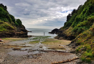 Coastal scene at Feather Down Fountain Violet Farm, with sea, rocky cliffs, and greenery under a cloudy sky.