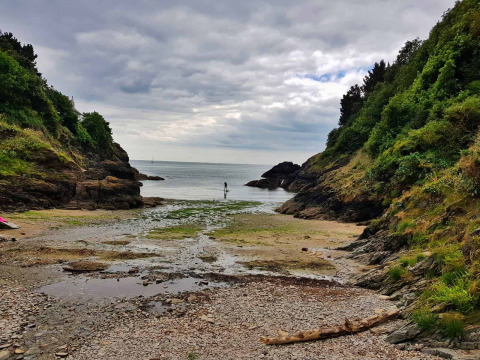 Coastal scene at Feather Down Fountain Violet Farm, with sea, rocky cliffs, and greenery under a cloudy sky.