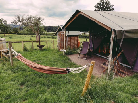 Et afslappende glampingsted ved Feather Down Hollings Hill i West Midlands, med hængekøje og telt.