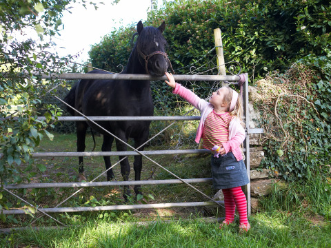 Klein meisje streelt een zwart paard over een hek op Feather Down Hollings Hill, West Midlands, Engeland.