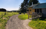 Schotterweg nahe einer Holzhütte auf Feather Down Warren Farm im Südwesten Englands mit grüner Landschaft.