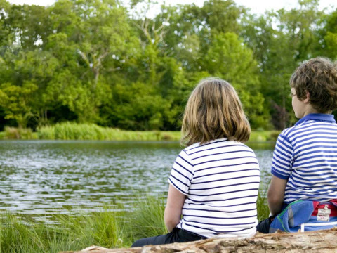 Twee kinderen met gestreepte T-shirts zitten op een boomstam aan het meer van Feather Down Upper Shadymoor Farm in Wales.