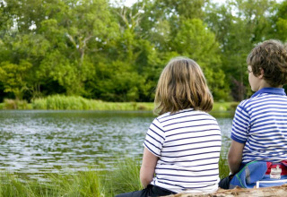 Twee kinderen met gestreepte T-shirts zitten op een boomstam aan het meer van Feather Down Upper Shadymoor Farm in Wales.