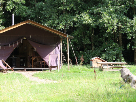 Lodgetent op Feather Down Upper Shadymoor Farm, Wales, tussen groen gras en bomen in het bos.