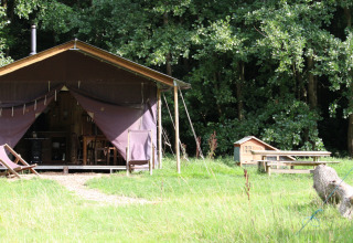 Lodgetent op Feather Down Upper Shadymoor Farm, Wales, tussen groen gras en bomen in het bos.