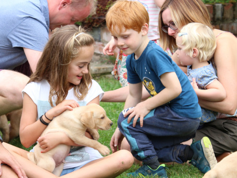 Kinderen en volwassenen spelen met een puppy op Feather Down Upper Shadymoor Farm, een vakantiepark in Wales.