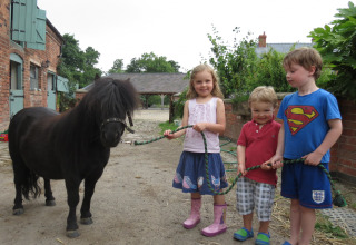 Drie kinderen glimlachen bij een zwarte pony op Feather Down Upper Shadymoor Farm, vakantiepark in Wales.
