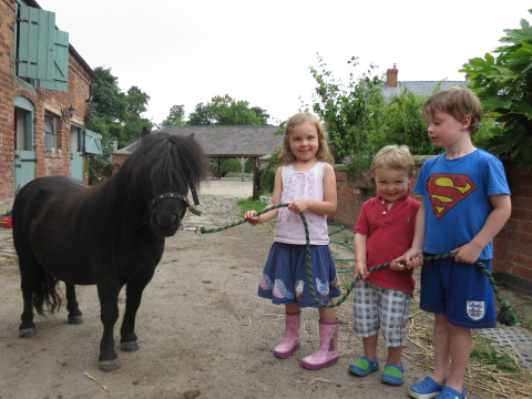 Drie kinderen glimlachen bij een zwarte pony op Feather Down Upper Shadymoor Farm, vakantiepark in Wales.