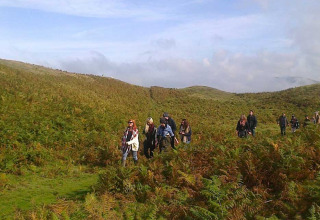 Groep wandelaars in het groene heuvellandschap van Feather Down Upper Shadymoor Farm in Wales, VK.
