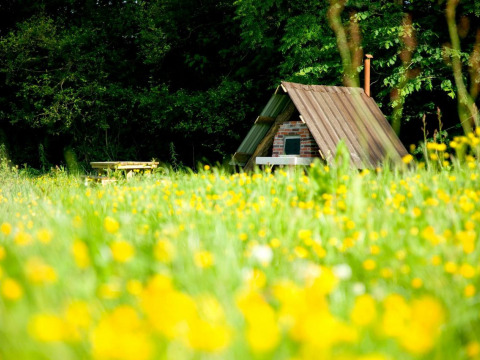 Kleine blokhut en picknicktafel in een bloemenweide bij Feather Down Upper Shadymoor Farm in Wales, VK.