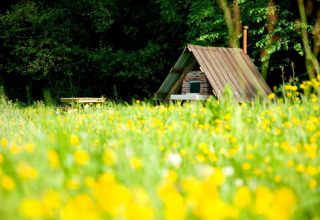 Piccola capanna e tavolo da picnic in un prato fiorito presso Feather Down Upper Shadymoor Farm in Galles, Regno Unito.
